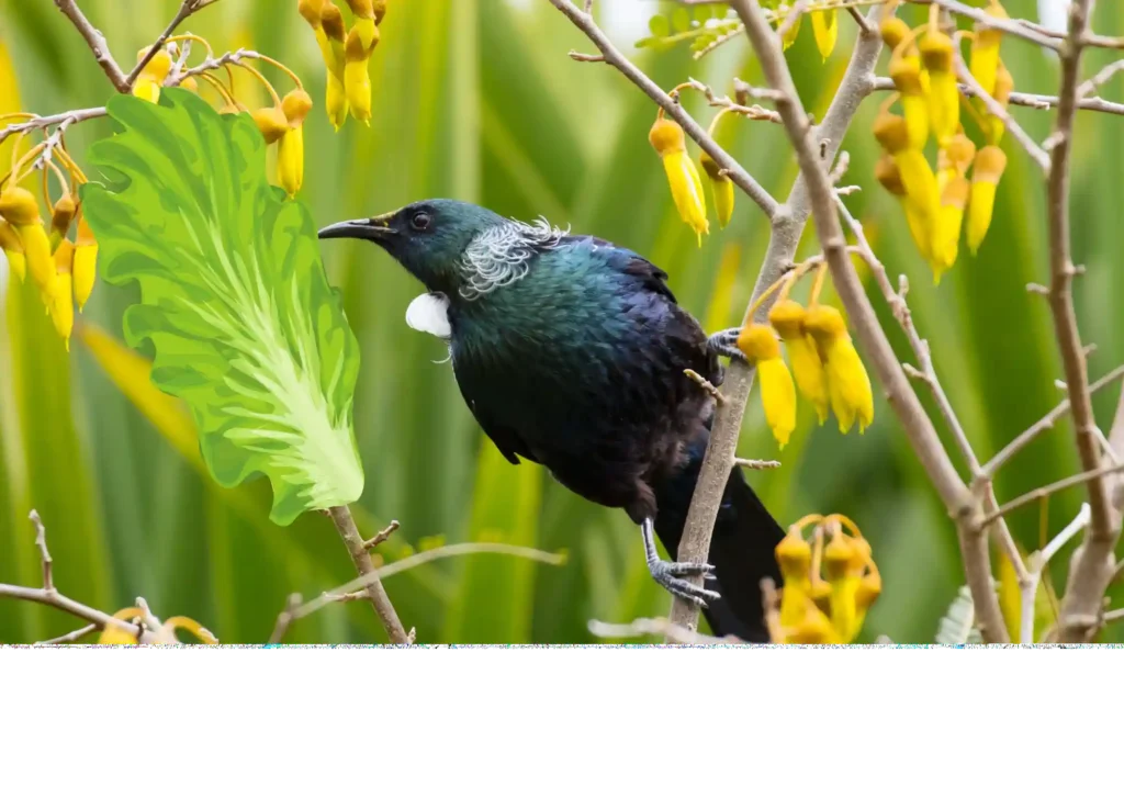 What Happens If Birds Eat Too Much Lettuce